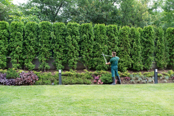 Best Soil Testing and Treatment  in Port Orange, FL
